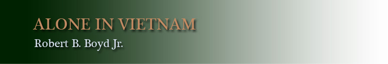 alone in vietnam header